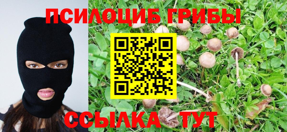 Псилоцибиновые грибы GOLDEN TEACHER  где можно купить   Симферополь  Вход с VPN 