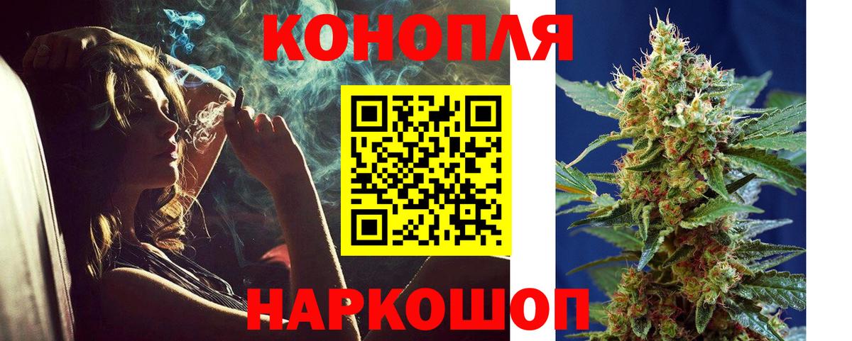 Конопля гибрид Симферополь